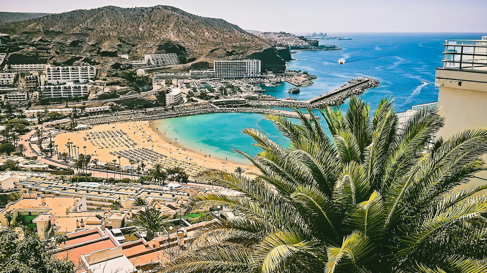 aerial view of beach and palm trees